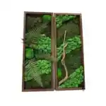 Картина «Mushrooms forest» Орех K26