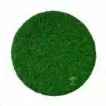 Круги из мха