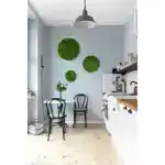 Круги из мха