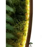 Круглое панно «nature» со мхом, растениями и внутренней подсветкой z18