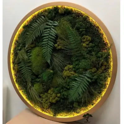 Круглое панно «Nature» со мхом, растениями и внутренней подсветкой Z18