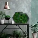 Сота с мхом «3 Ягеля»