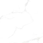 20x40