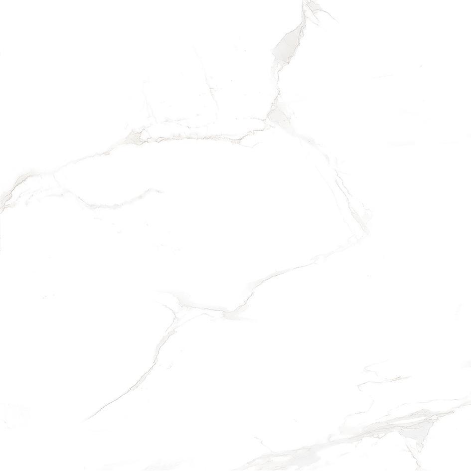 20x40