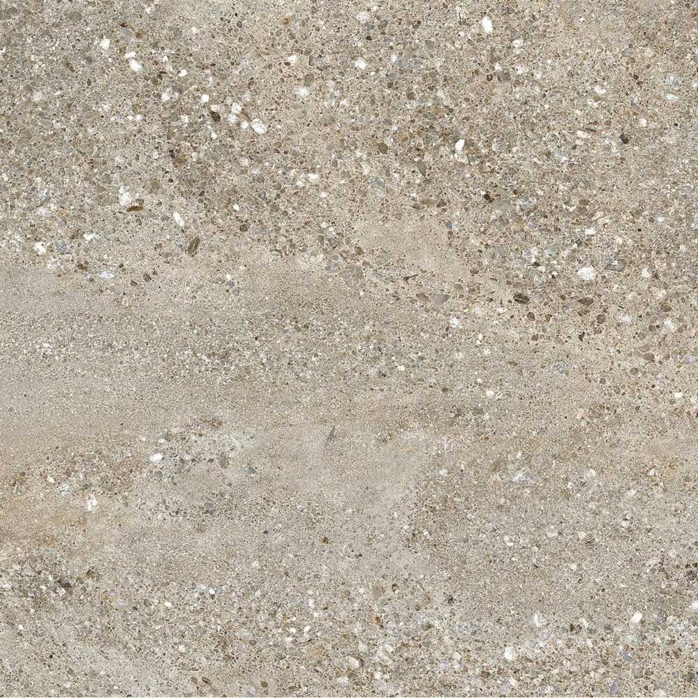 50x59