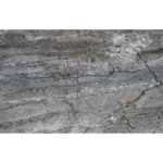 Moon серый 25×75 LAPARET