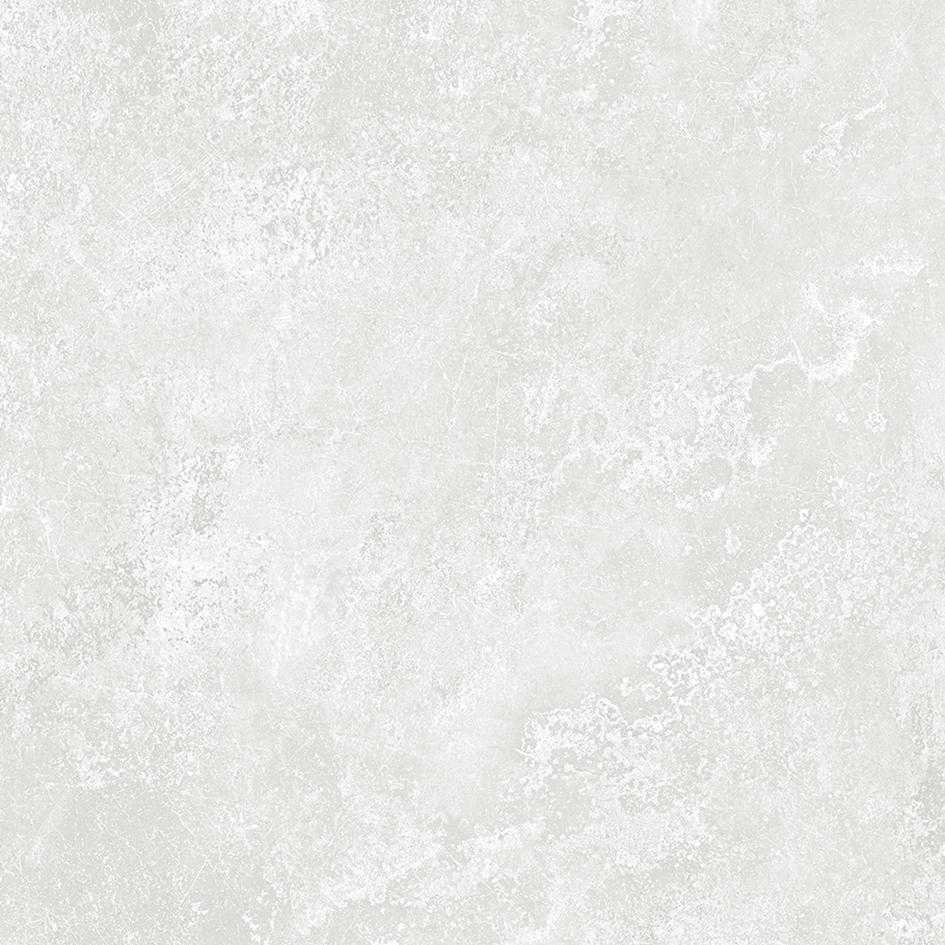 50x59