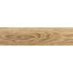 10x60 LAPARET