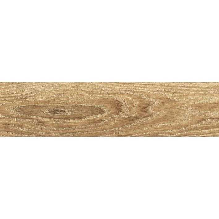 10x60 LAPARET