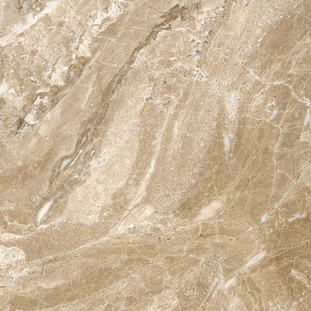 50x59
