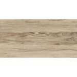 Forest коричневый 30x60 LAPARET