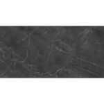 Olimpus чёрный 25x50 LAPARET