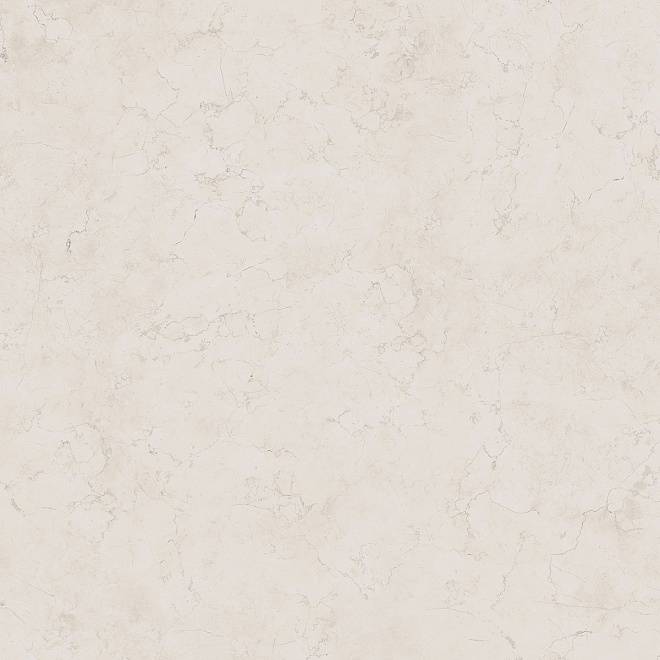 SG453900R (1 SG453900R (1