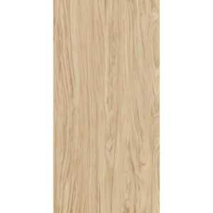 SG565200R Олива бежевый обрезной 60*119.5 керамический гранит Керама Марацци