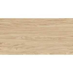 SG565220R Олива бежевый обрезной 60x119