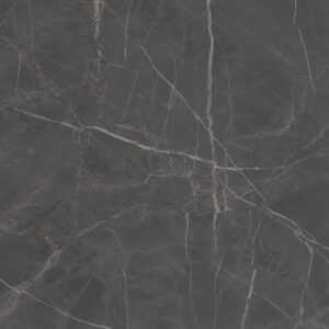 SG642920R Буонарроти серый темный обрезной 60x60x0
