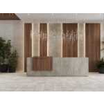 Керамогранит EE01 Seed Light Grey Неполированный 40,5×40,5х8 EE01/NS_R9/40,5×40,5x8N/GW