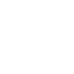 Фриз SF31