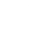 Фриз SF41V