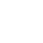 Фриз SF49V
