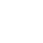 Розетка гладкая SRT36