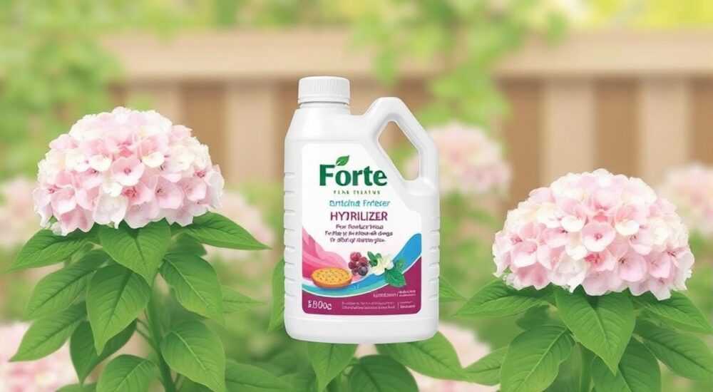 Удобрение для гортензий бона форте как использовать