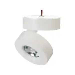 Светильник SP-MONA-SURFACE-R100-12W Warm3000 (WH, 24 deg) (Arlight, IP40 Металл, 3 года) 025440
