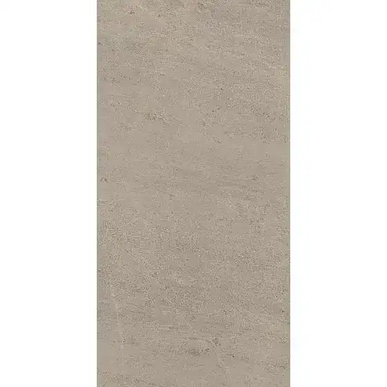 9b00cec0b0845a7b53a59d72db7f6c22 Wise Silver Grey Lap 60х120/Вайз Сильвер Грей Лап 60х120 610015000399